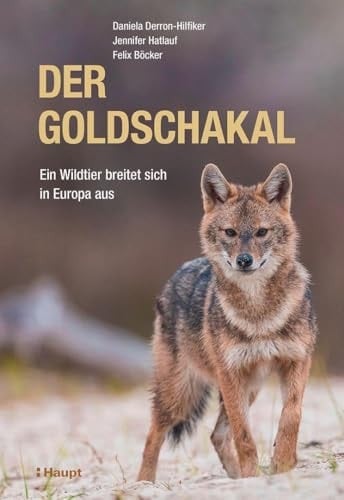 Der Goldschakal Ein Wildtier breitet sich in Europa aus