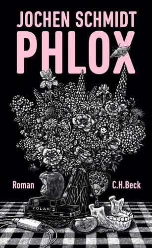 Phlox Roman