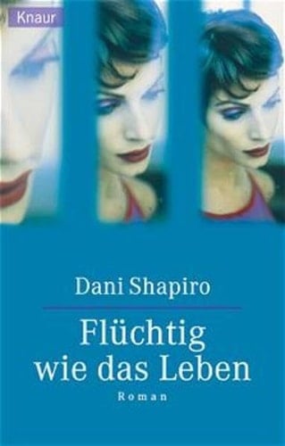 Flüchtig wie das Leben Roman