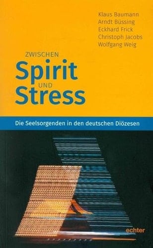 Zwischen Spirit und Stress die Seelsorgenden in den deutschen Diözesen