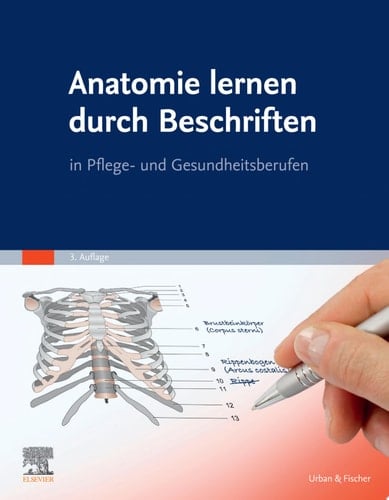 Anatomie Lernen Durch Beschriften In Pflege- Und Gesundheitsberufen