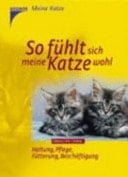 So fühlt sich meine Katze wohl Haltung, Pflege, Fütterung, Beschäftigung