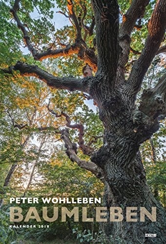 Baumleben 2018: Wandkalender