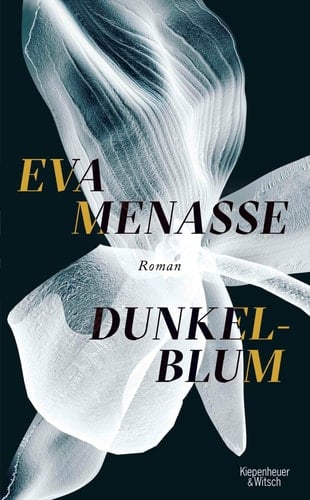 Dunkelblum Roman