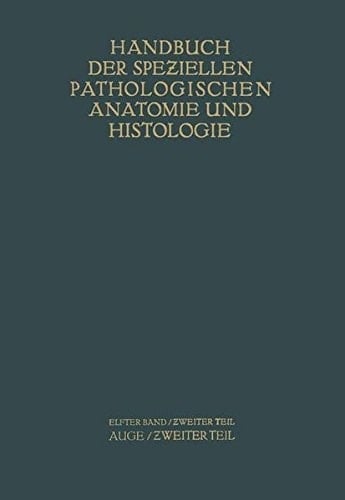 Auge Zweiter Teil