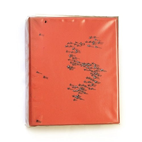 documenta 5 1972.