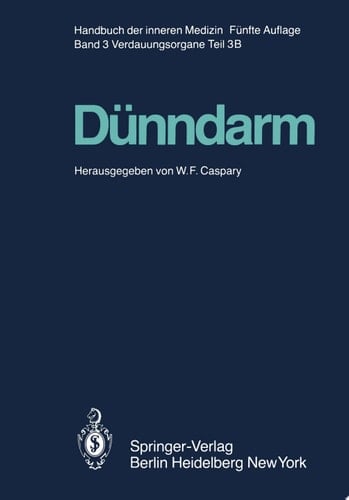 Dünndarm B