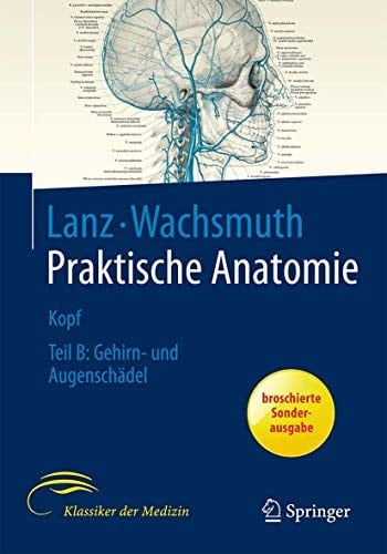 Kopf Teil B, Gehirn- und Augenschädel
