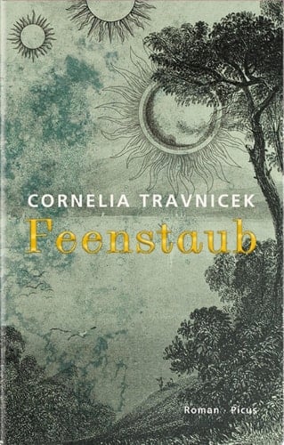 Feenstaub Roman