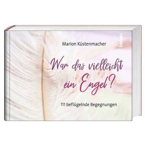 War das vielleicht ein Engel? 111 beflügelnde Begegnungen