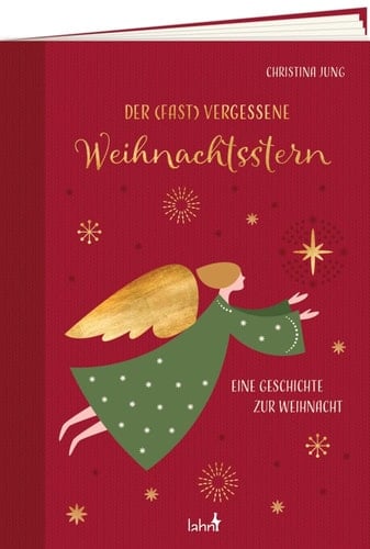 Der fast vergessene Weihnachtsstern Eine Geschichte zur Weihnacht