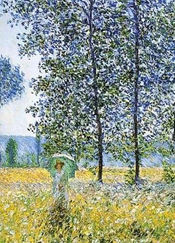 Monet Diary 2003