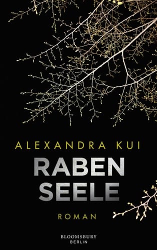 Rabenseele Roman