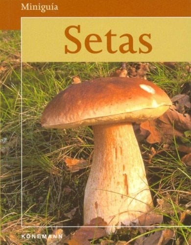 Setas