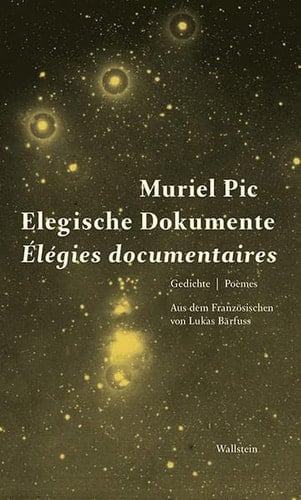 Elegische Dokumente Gedichte