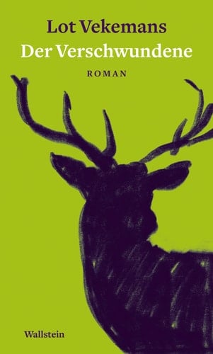 Der Verschwundene Roman