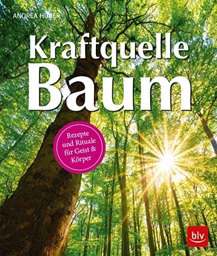 Kraftquelle Baum Rezepte und Rituale für Geist & Körper