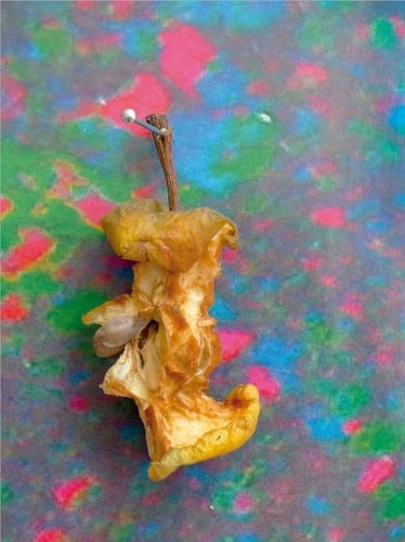 Søren Engsted Works, 2013-2007