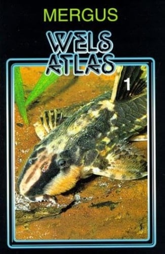 Wels-Atlas