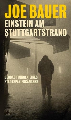 Einstein am Stuttgartstrand Beobachtungen eines Stadtspaziergängers