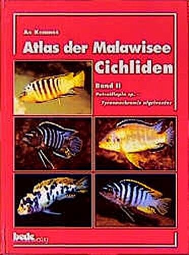 Atlas der Malawisee-Cichliden Petrotilapia sp. - Tyrannochromis nigriventer