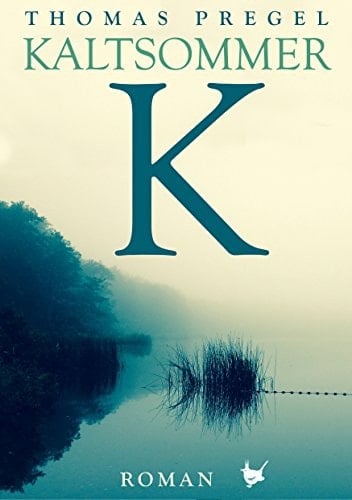 Kaltsommer Roman