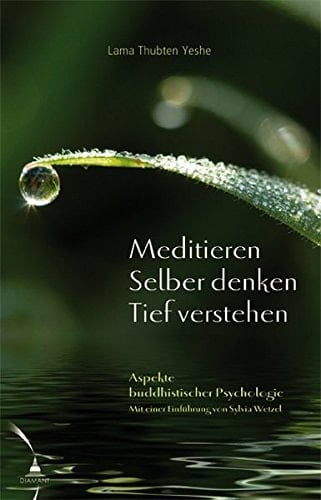 Meditieren. Selber denken. Tief verstehen Aspekte buddhistischer Psychologie