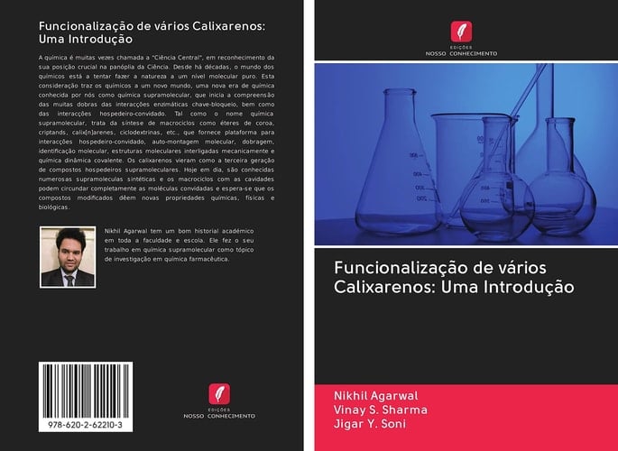 Funcionalização de vários Calixarenos: Uma Introdução (Portuguese Edition)