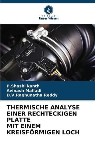 Thermische Analyse Einer Rechteckigen Platte Mit Einem Kreisförmigen Loch (German Edition)