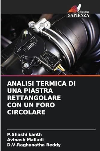 Analisi Termica Di Una Piastra Rettangolare Con Un Foro Circolare (Italian Edition)
