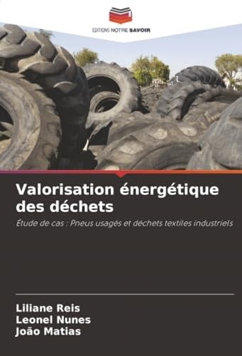 Valorisation énergétique des déchets: Étude de cas : Pneus usagés et déchets textiles industriels (French Edition)
