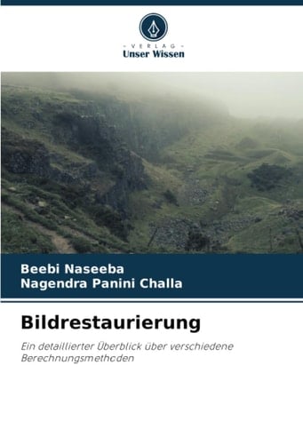 Bildrestaurierung: Ein detaillierter Überblick über verschiedene Berechnungsmethoden (German Edition)
