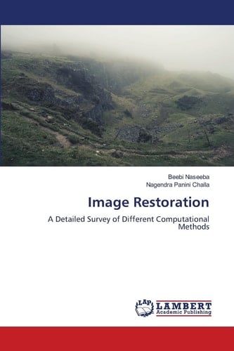 Image Restoration: A Detailed Survey of Different Computational Methods