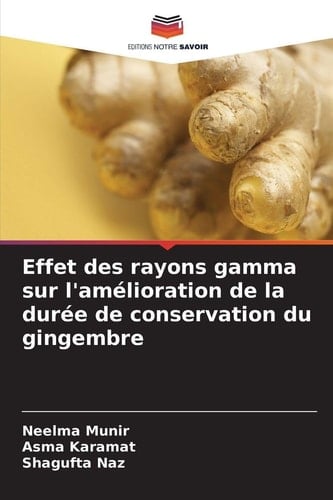 Effet des rayons gamma sur l'amélioration de la durée de conservation du gingembre (French Edition)