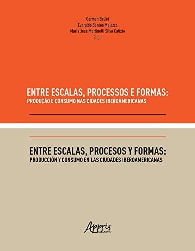 Entre escalas, procesos y formas