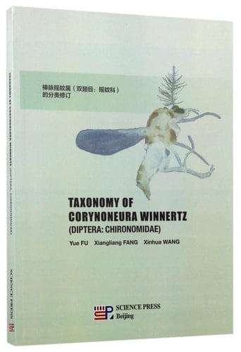 Taxonomy of Corynoneura Winnertz - Diptera : Chironomidae