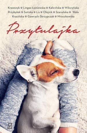 Przytulajka, wydanie kieszonkowe