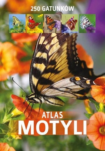 Atlas motyli 250 gatunków