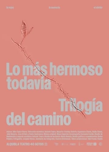 Lo más hermoso todavía la vejez, la memoria y el olvido