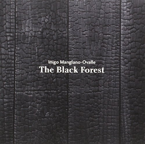 The black forest Museo Universidad de Navarra : [22 enero-21 julio, 2015]