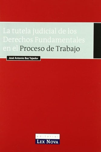 La tutela judicial de los derechos fundamentales en el proceso de trabajo