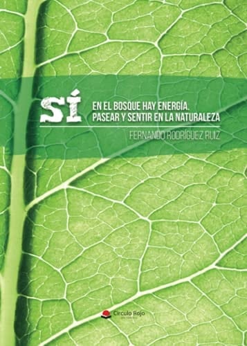 Sí, en el bosque hay energía pasear y sentir en la naturaleza