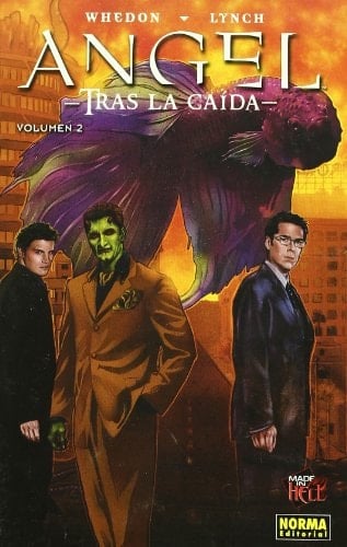 ANGEL. TRAS LA CAÍDA 2