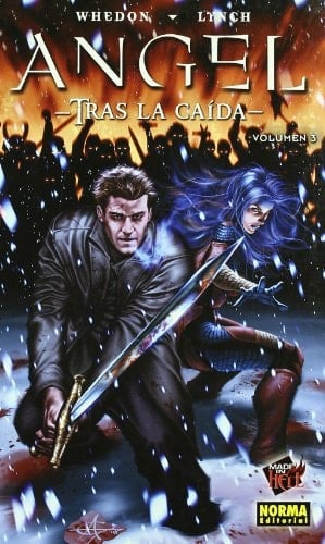 ANGEL. TRAS LA CAÍDA 3