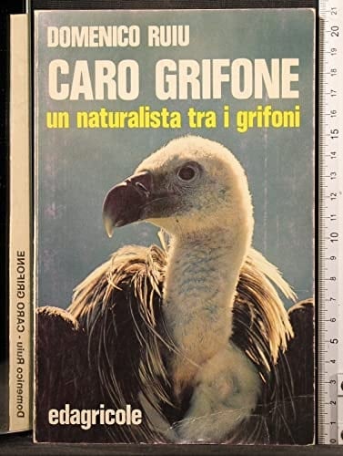 Caro grifone un naturalista tra i grifoni