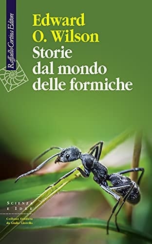 Storie dal mondo delle formiche
