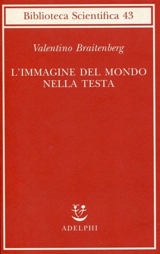 L'immagine del mondo nella testa