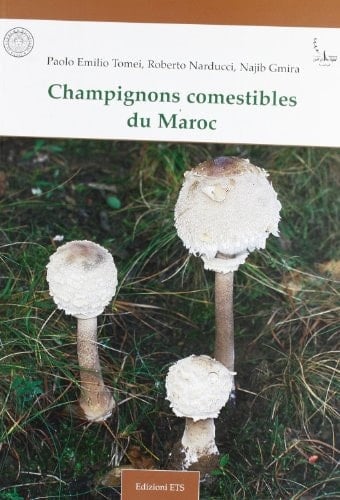 Champignons comestibles du Maroc