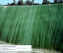 Bas Princen Galleria Naturale