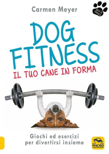 Dog fitness il tuo cane in forma